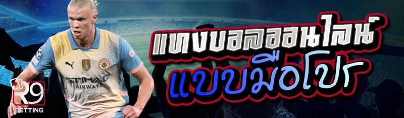 แทงบอลออนไลน์ แบบมือโปร  